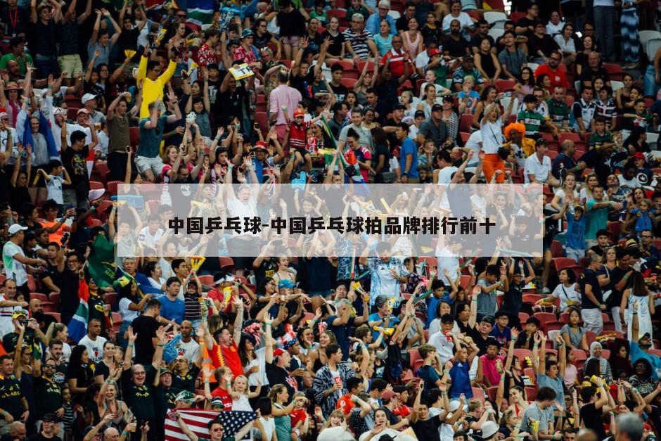 中国乒乓球-中国乒乓球拍品牌排行前十